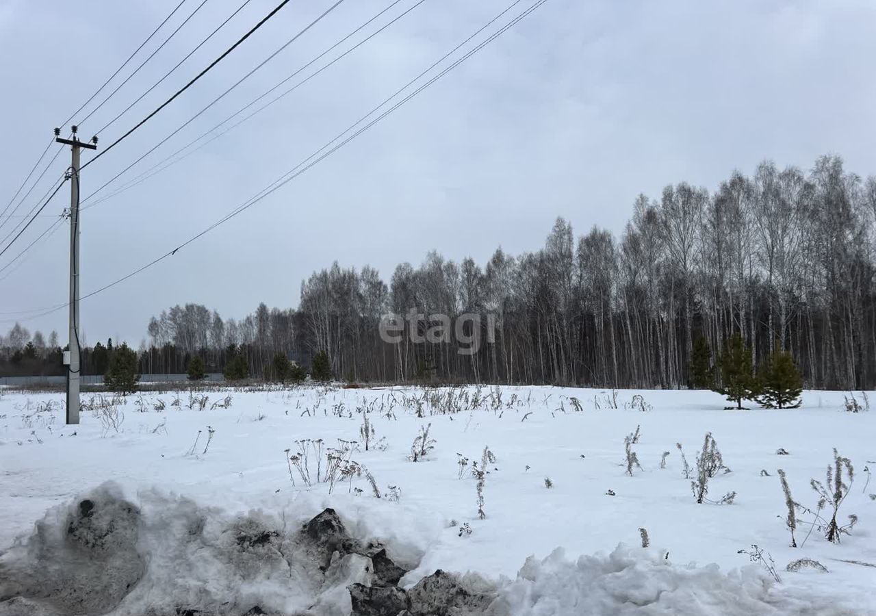 земля р-н Нижнетавдинский снт Березка Тюмень фото 6