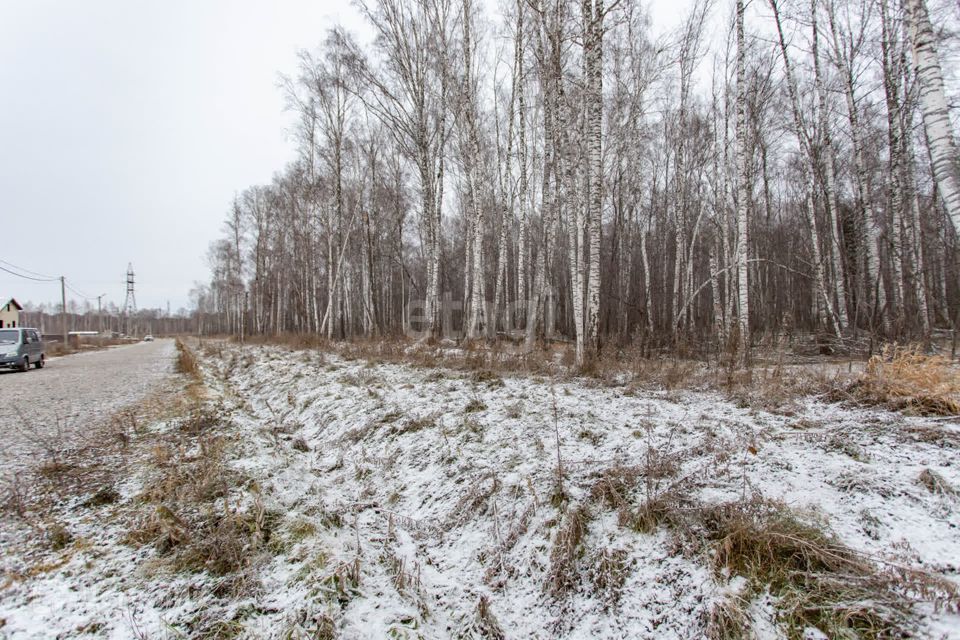 земля г Тобольск улица Захаровой, 56, городской округ Тобольск фото 3