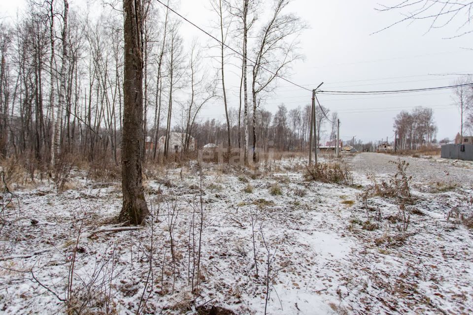 земля г Тобольск улица Захаровой, 56, городской округ Тобольск фото 8