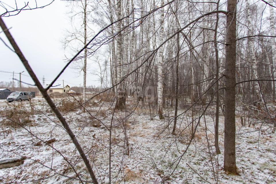 земля г Тобольск улица Захаровой, 56, городской округ Тобольск фото 10