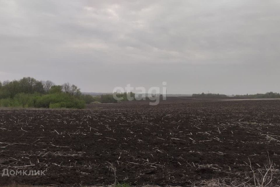 земля р-н Белгородский посёлок Дубовое фото 2