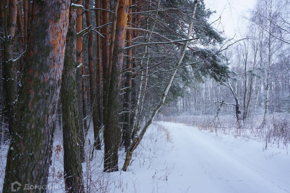 земля городской округ Ступино рабочий посёлок Малино фото 5