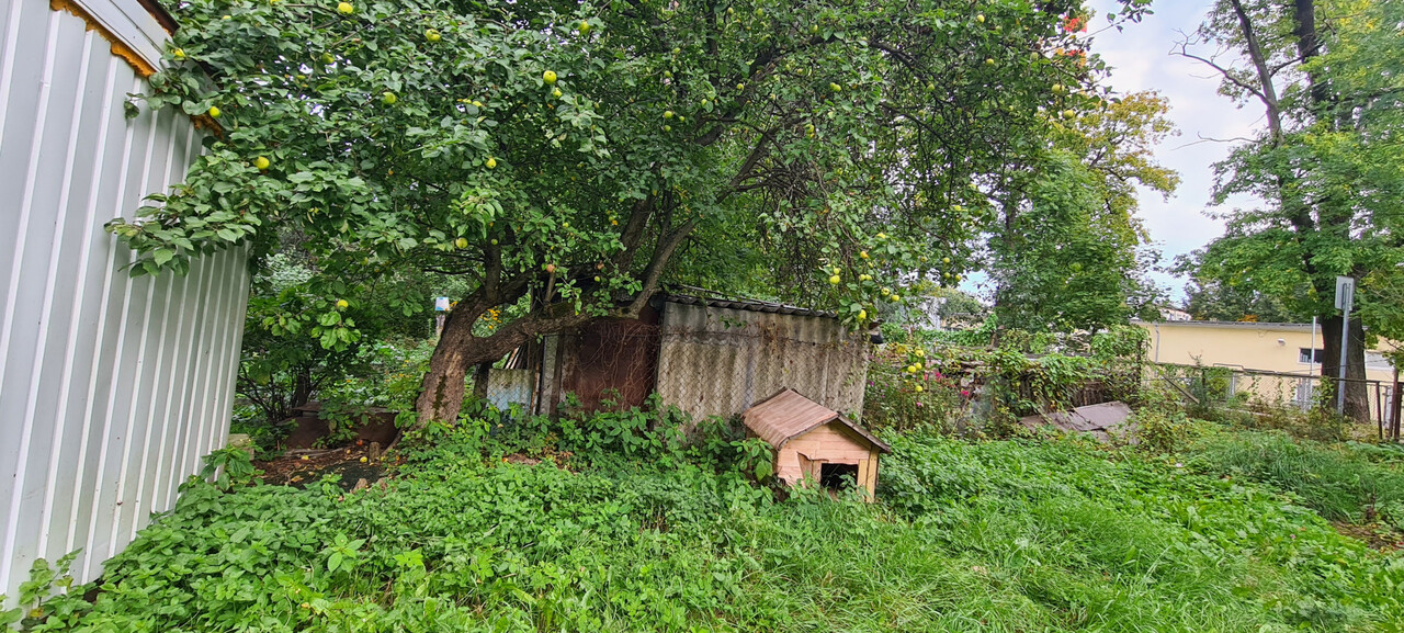 квартира Осиновая Роща тер., Парнас, Школьный пер., 4 фото 16