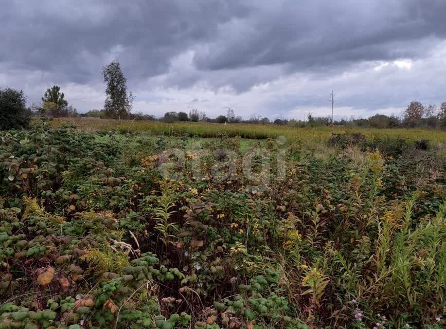 земля г Хабаровск ул Горького городской округ Хабаровск фото 4