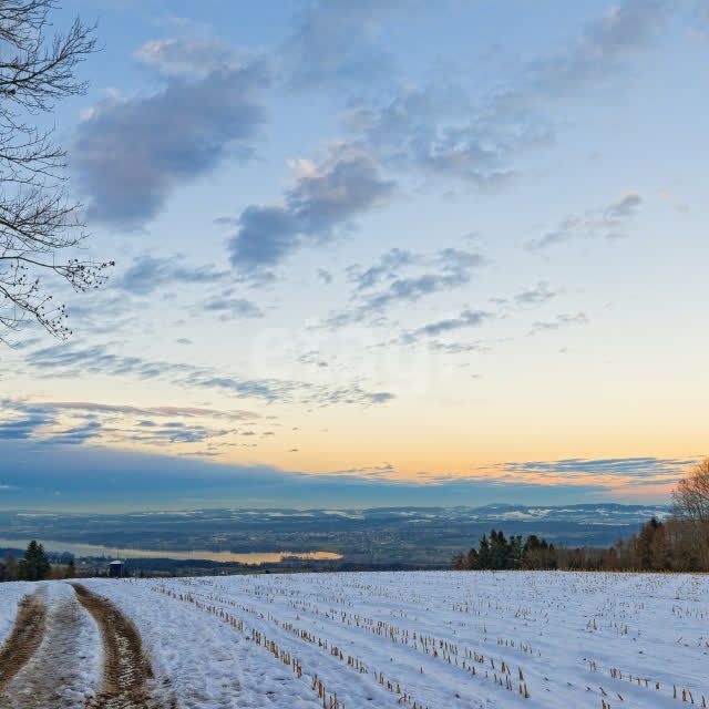 земля р-н Серышевский село Хитровка фото 1