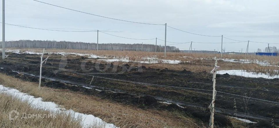 земля р-н Нижнетавдинский деревня Малый Хутор, улица Ветеранов, 9 фото 8