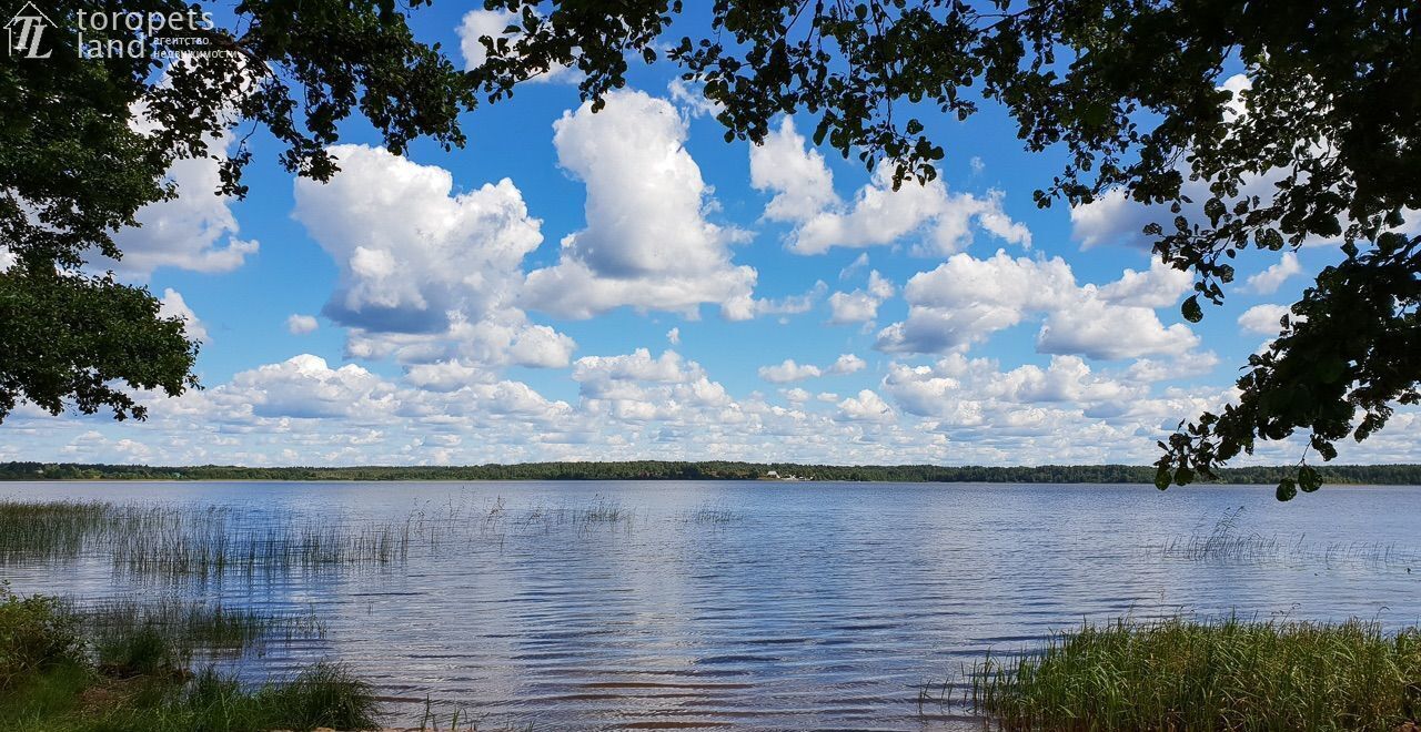 земля р-н Торопецкий д Грядцы ул Садовая Западная Двина фото 6