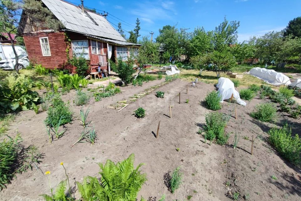 дом г Екатеринбург снт Лесовод Екатеринбург, 35, муниципальное образование фото 3