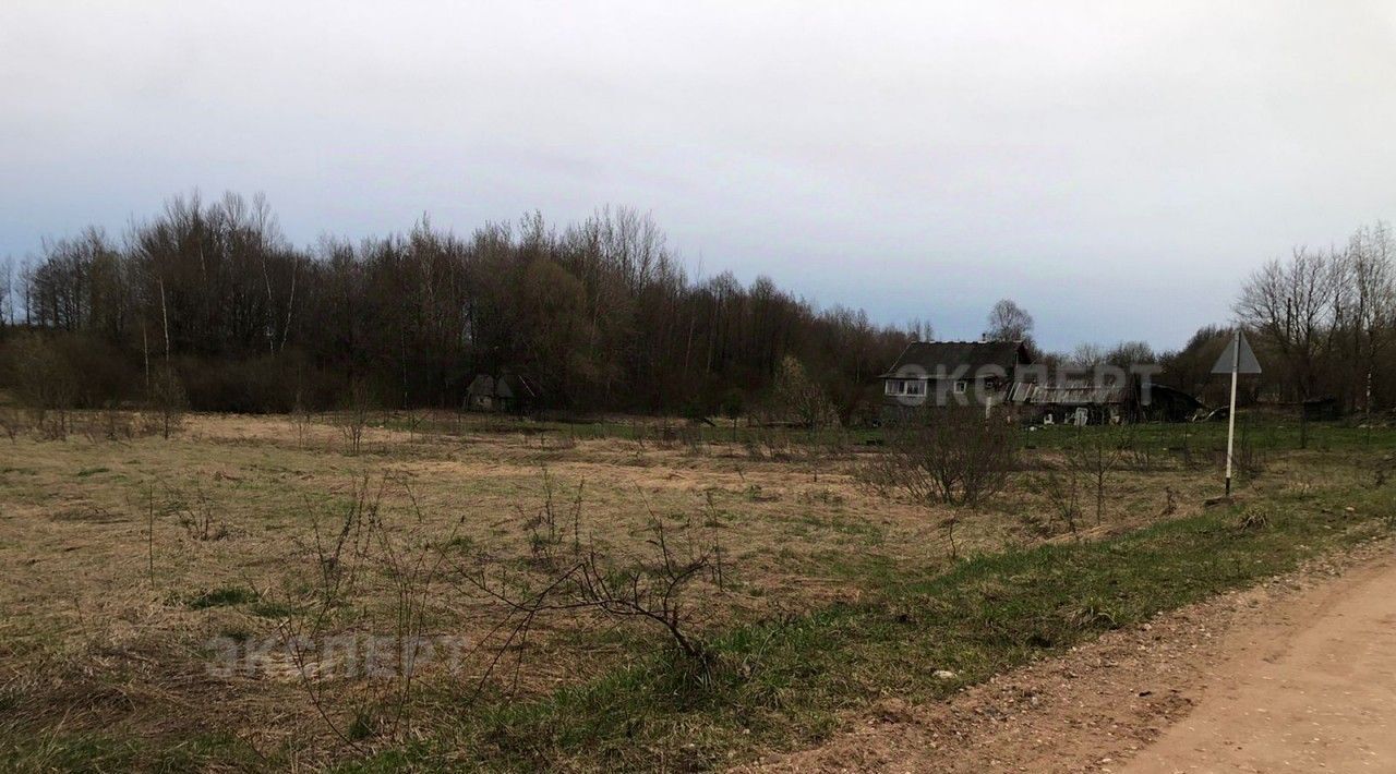 земля р-н Новгородский д Сперанская Мыза ул Парковая Савинское с/пос фото 2