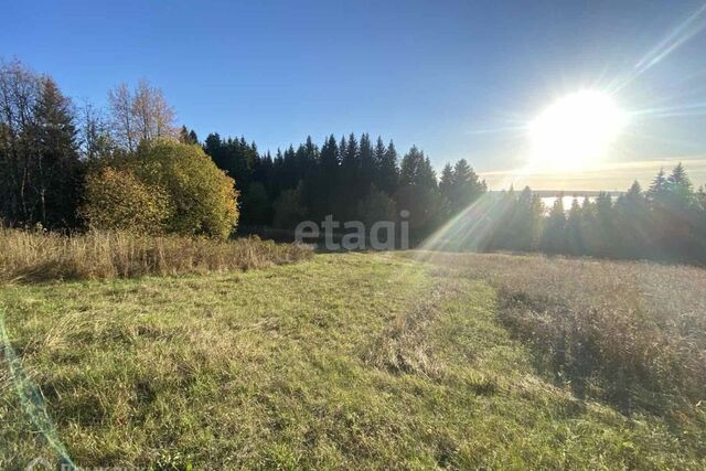 Добрянский городской округ, деревня Гари фото