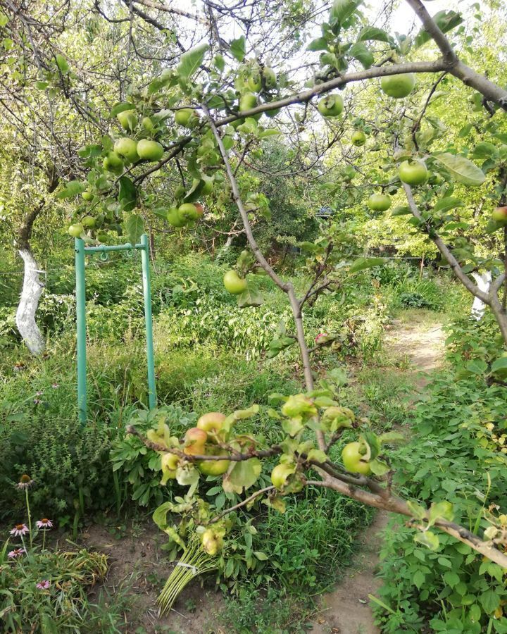 земля г Волгодонск сад снт Донской фото 1