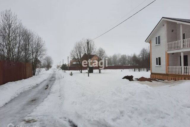 деревня Большие Борницы фото