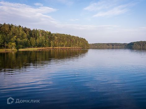 земля р-н Выборгский СНТ Перспектива фото 8