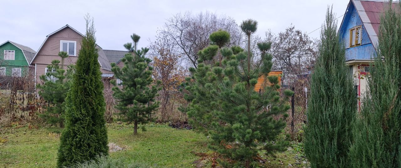 дом городской округ Сергиево-Посадский г Краснозаводск снт Лесное 69 фото 23