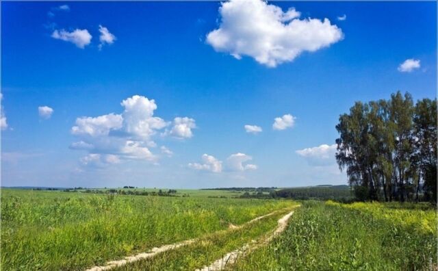земля с Лукьяново Рязанская область, Сасово фото