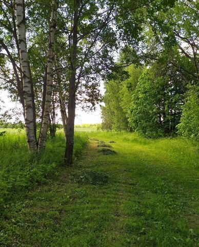 д Дор-Согожа Пригородное сельское поселение, Пошехонье фото