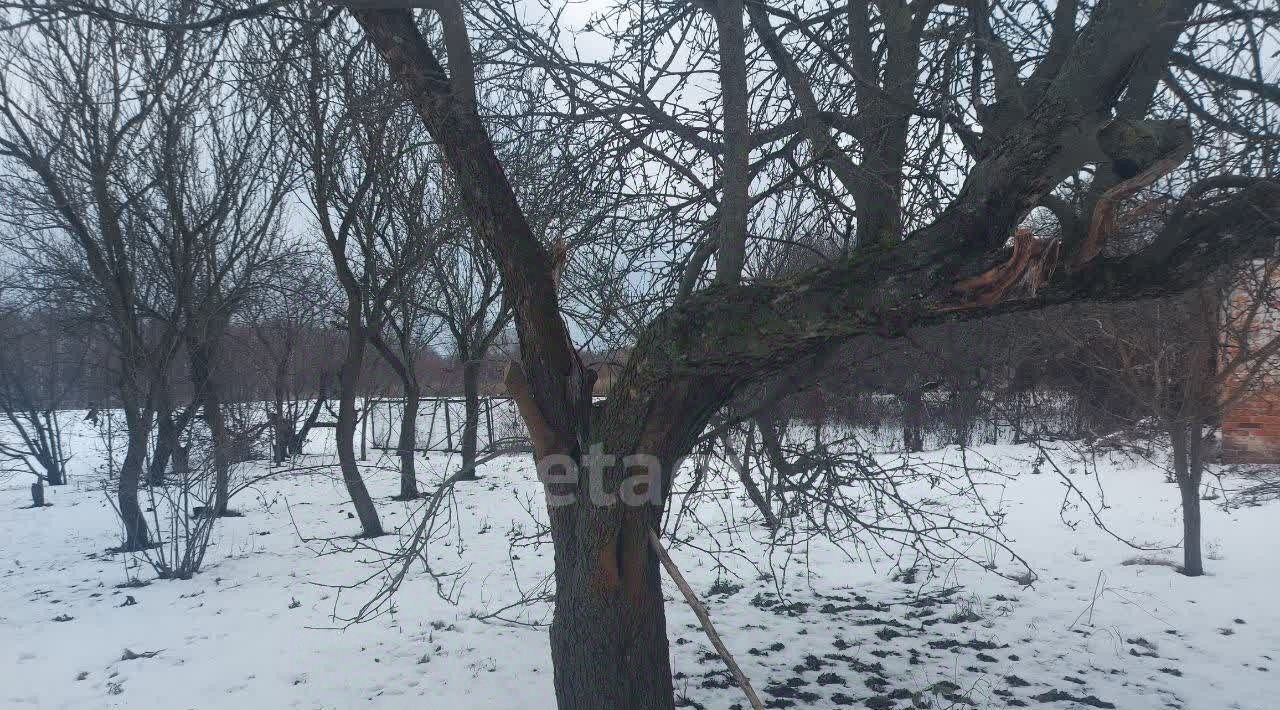 дом р-н Корочанский с Большая Халань ул Базарная Большехаланское с/пос фото 18