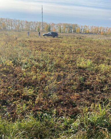 Морской сельсовет, коттеджный пос. Новониколаевский фото