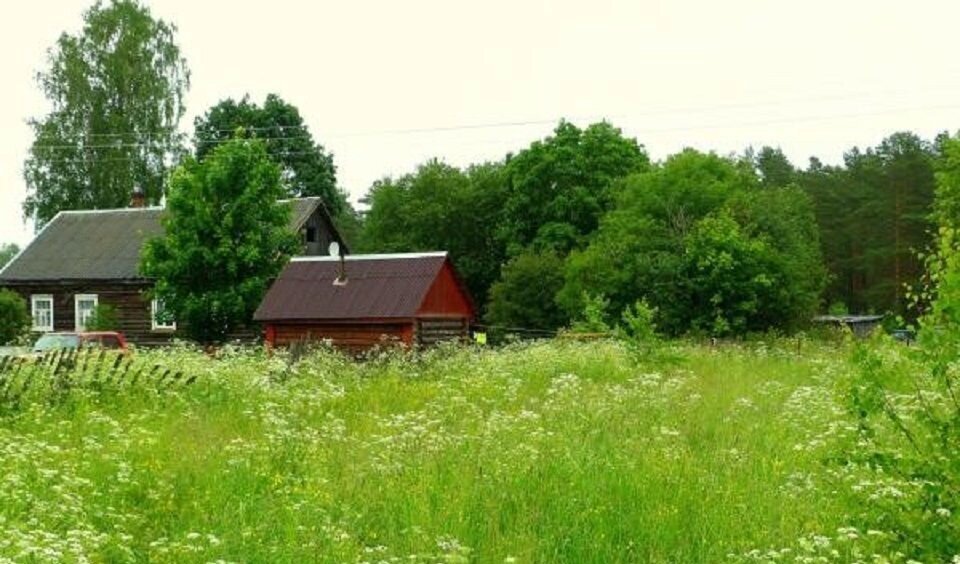 земля р-н Волховский д Папоротно Пашское сельское поселение, Сясьстрой фото 4