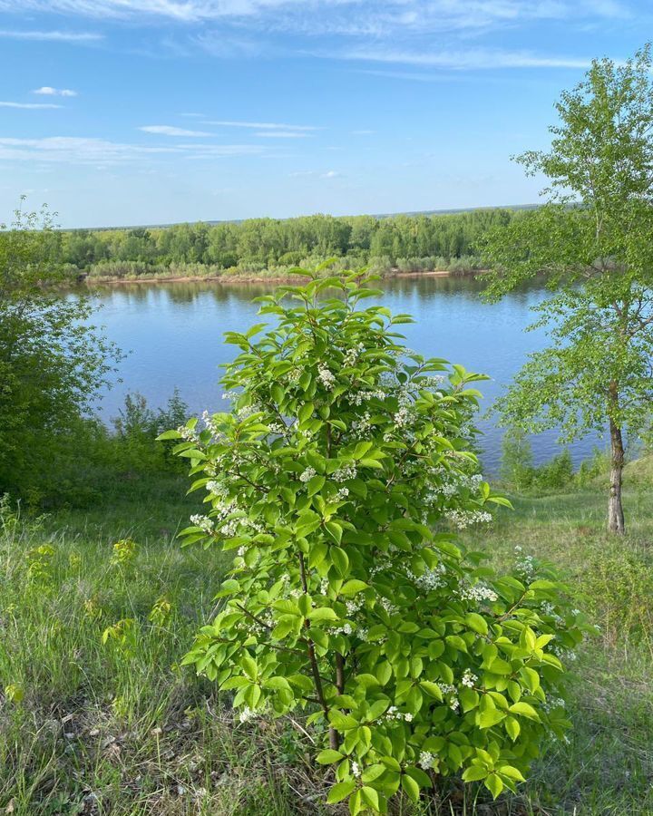 земля р-н Вятскополянский г Вятские Поляны мкр-н Восточный фото 5