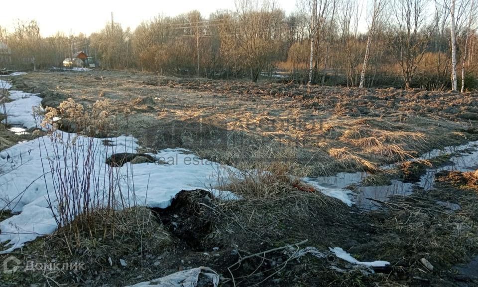 земля р-н Новгородский д Чайка Чайка, 6, садоводческое товарищество фото 4