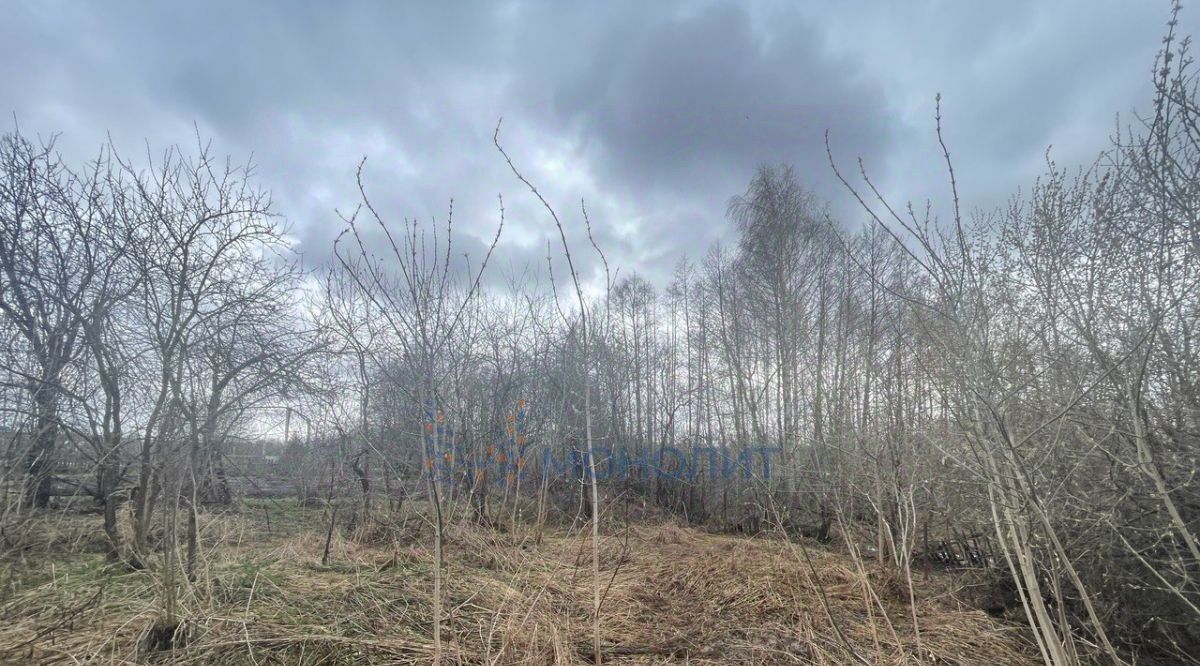 земля Бор городской округ, д. Варначево фото 4