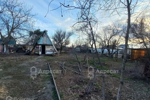 сад СНТ Цветущий ул Кизиловая городской округ Волжский, Сад фото