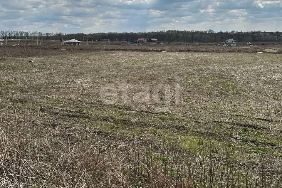 земля р-н Белгородский п Майский квартал Майский-80 фото 6