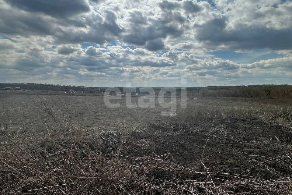 земля р-н Белгородский п Майский квартал Майский-80 фото 9