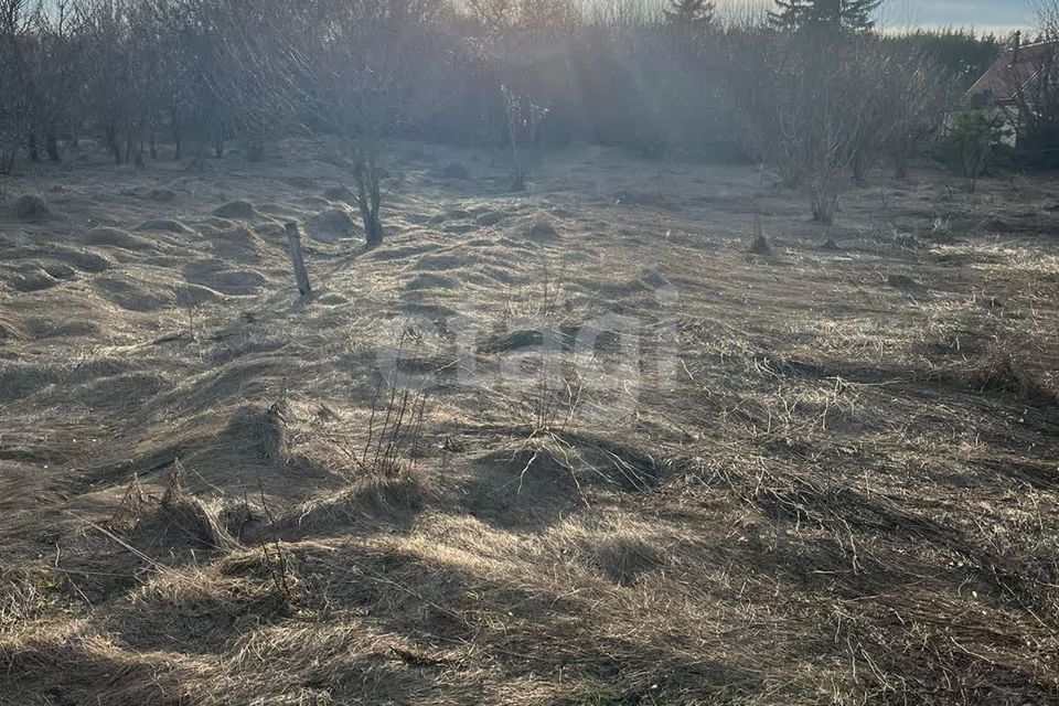 земля р-н Мичуринский с Большое Лаврово ул Большелавровская фото 3