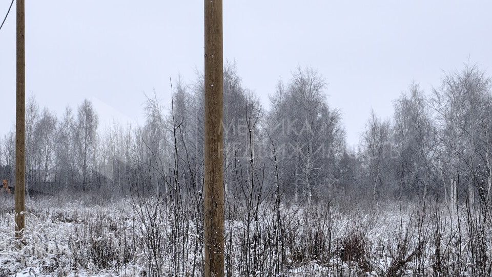 земля г Тюмень снт Яровское городской округ Тюмень, Грушевая улица, 30 фото 6