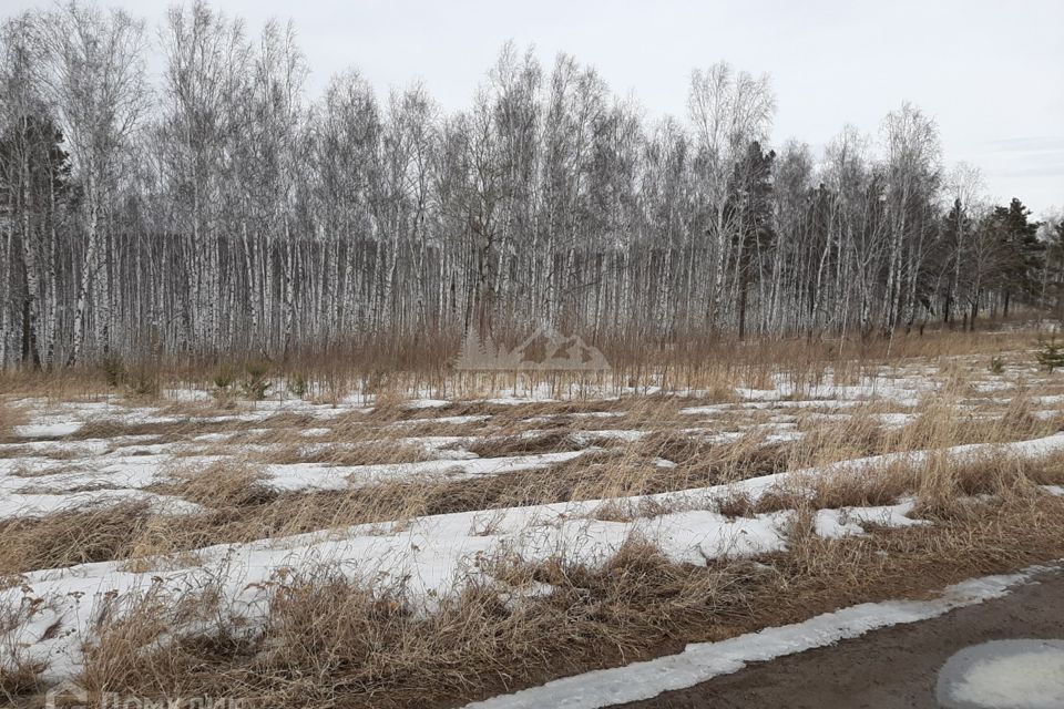 земля р-н Емельяновский посёлок городского типа Емельяново фото 3