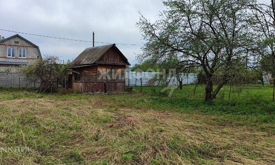 земля р-н Брянский п Верный Путь СНТ Дормаш-5 фото 1