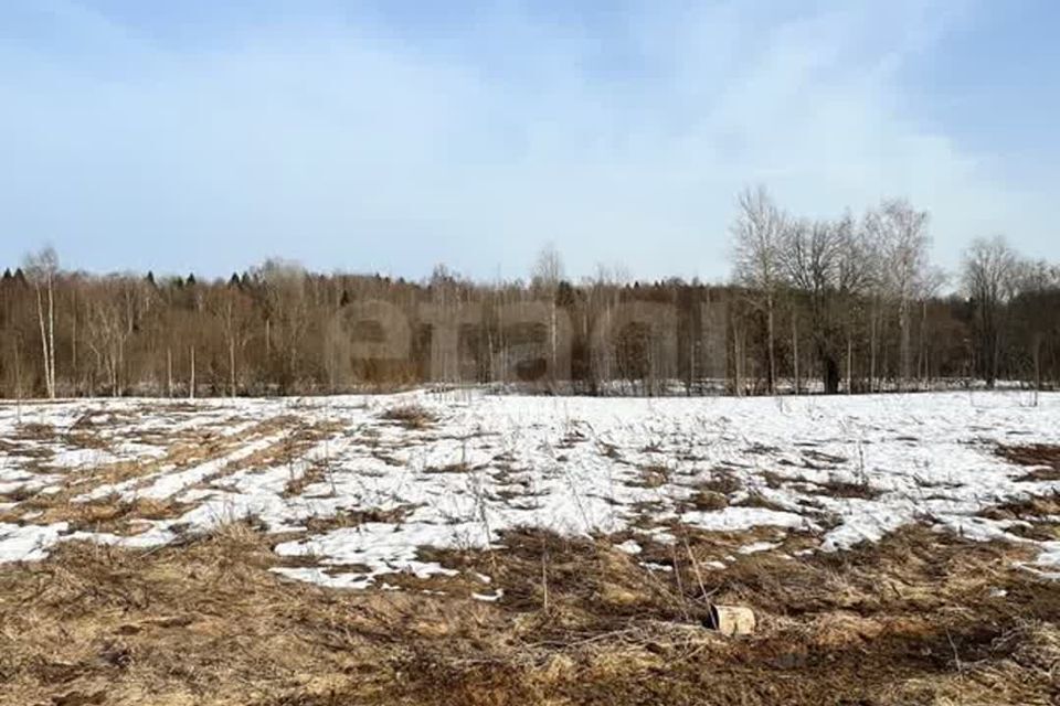 земля р-н Вологодский деревня Мальгино Подлесный сельсовет фото 2