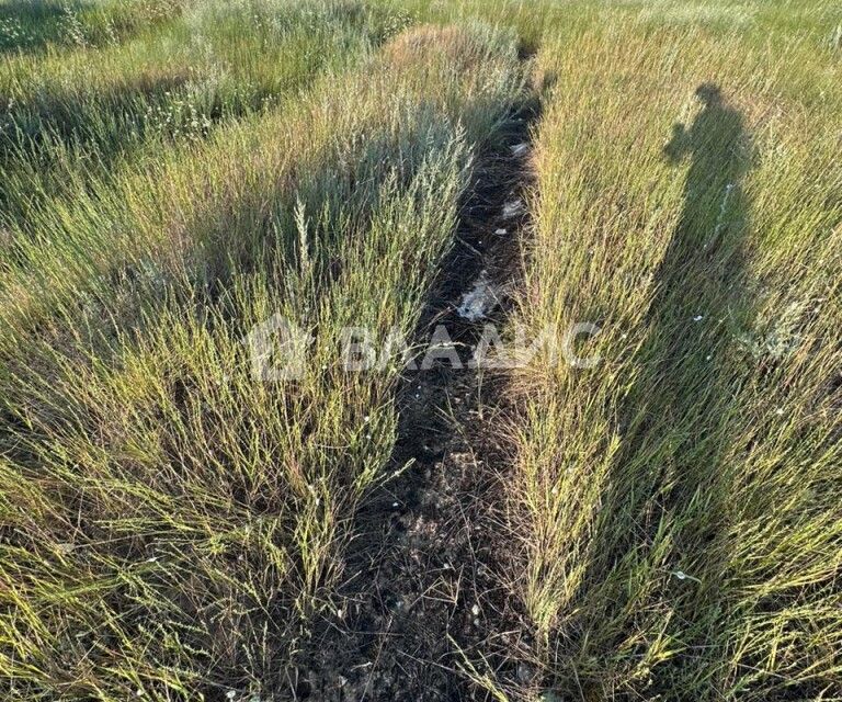 земля г Элиста городской округ Элиста, жилая группа Возрождение фото 5