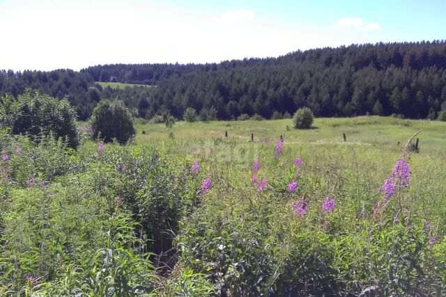 земля Алапаевское, деревня Кулига фото