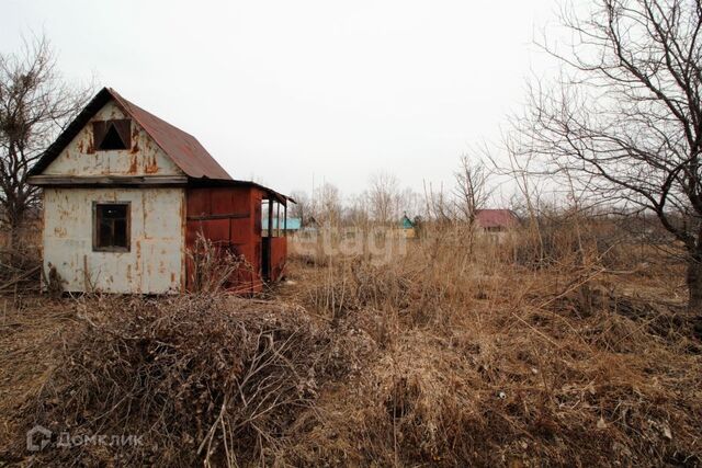 снт Экспортник Артёмовский городской округ, 161 фото