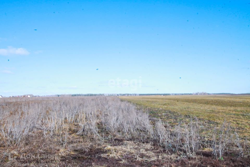 земля р-н Белоярский Белоярский городской округ фото 4