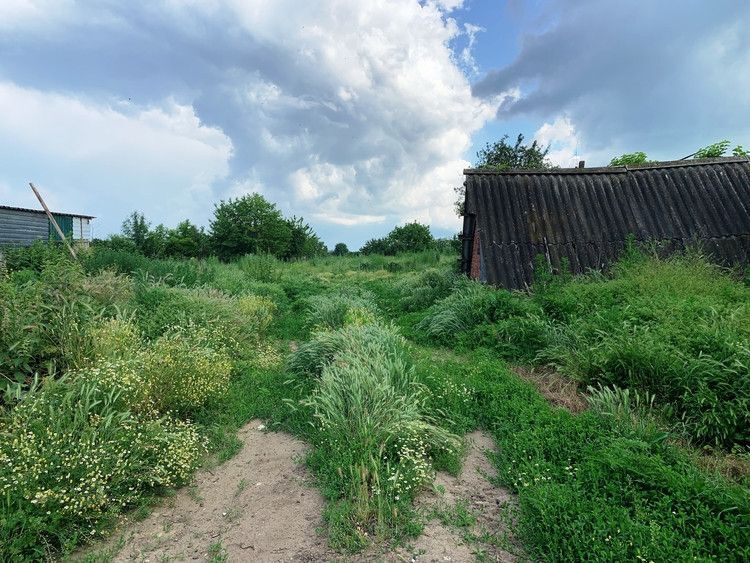 земля р-н Северский с Львовское ул Таманская фото 1