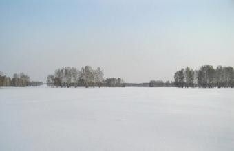 земля р-н Елизовский СНТ Геолог фото 2