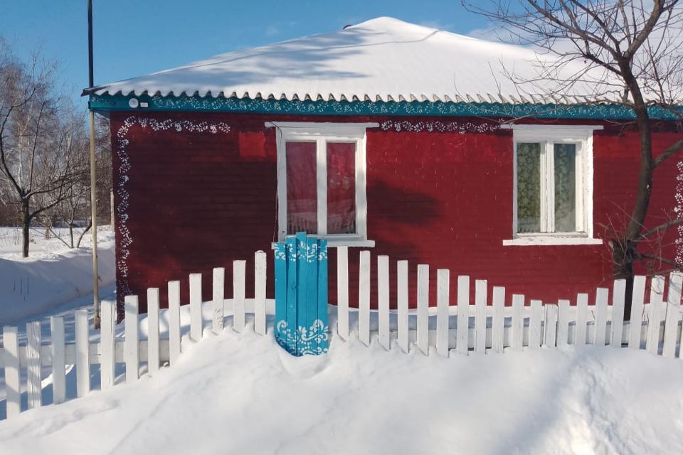 дом р-н Шербакульский деревня Больше-Васильевка фото 2