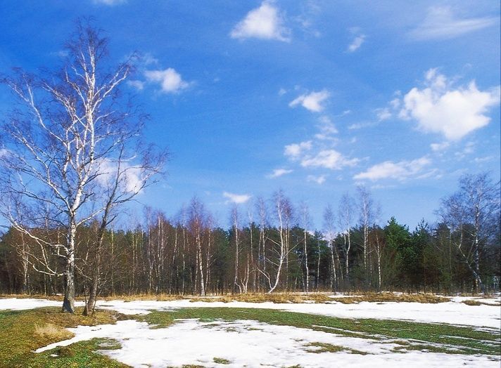 земля р-н Пермский квартал Башкултаевский фото 3