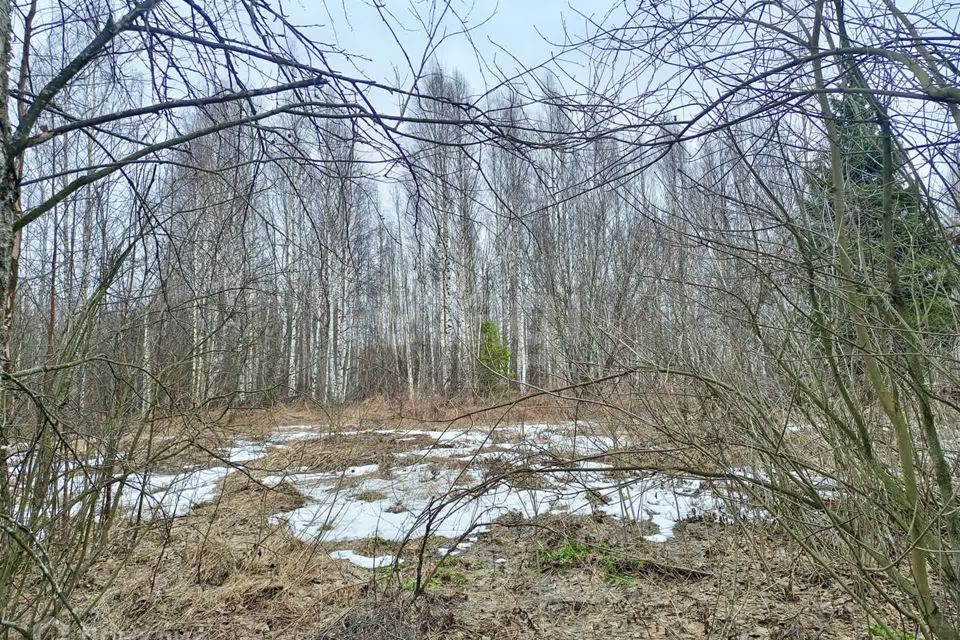 земля г Вологда городской округ Вологда, садоводческое товарищество Доронино фото 5