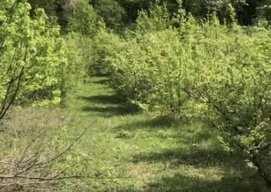 дом р-н Северский садоводческое некоммерческое партнёрство Ведруссия, Небесная улица, 7 фото 8