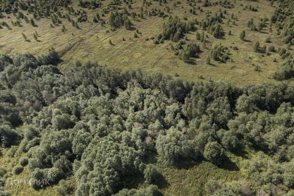 земля городской округ Можайский деревня Дегтяри фото 5