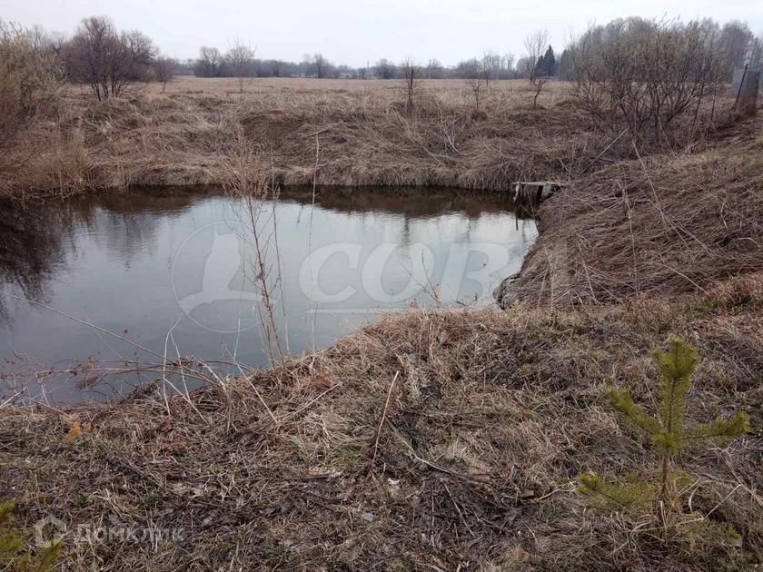 дом р-н Исетский деревня Миролюбова фото 7