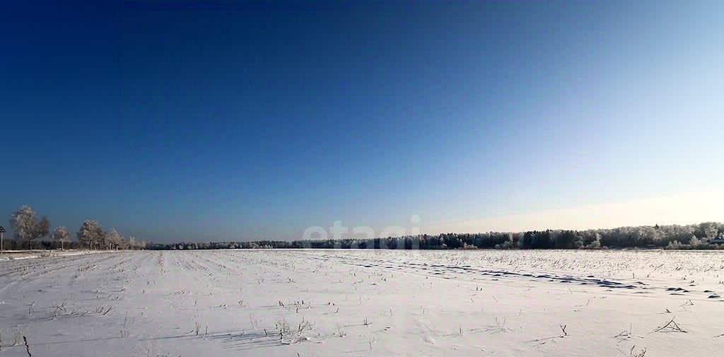 земля г Смоленск р-н Заднепровский снт тер.Славутич фото 3