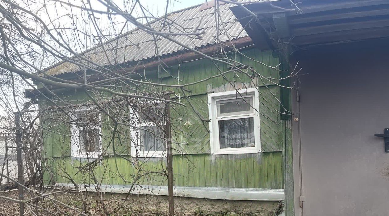 дом р-н Семилукский с Девица ул Первомайская фото 22