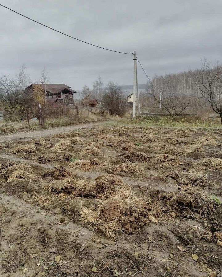 земля р-н Пензенский с Казеевка Засечное фото 3