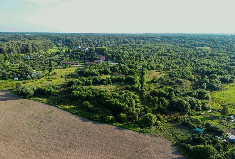 земля г Санкт-Петербург п Тярлево ул Московская р-н Пушкинский фото 3